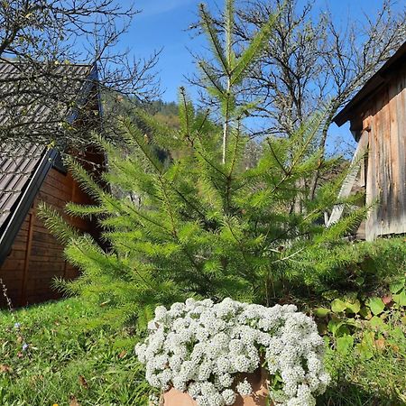 Villa Vikendica NEVEN Zaovine Esterno foto
