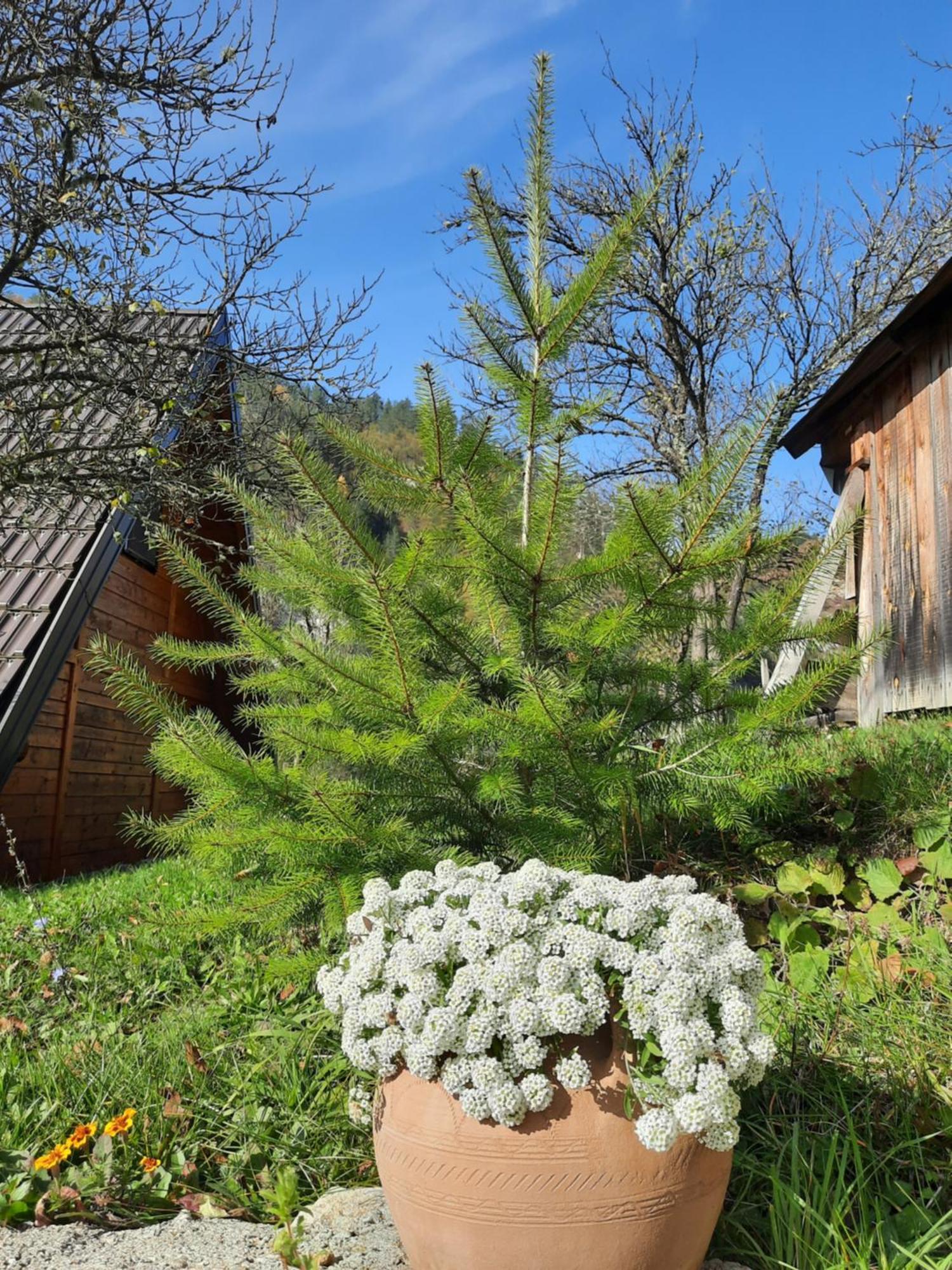 Villa Vikendica NEVEN Zaovine Esterno foto