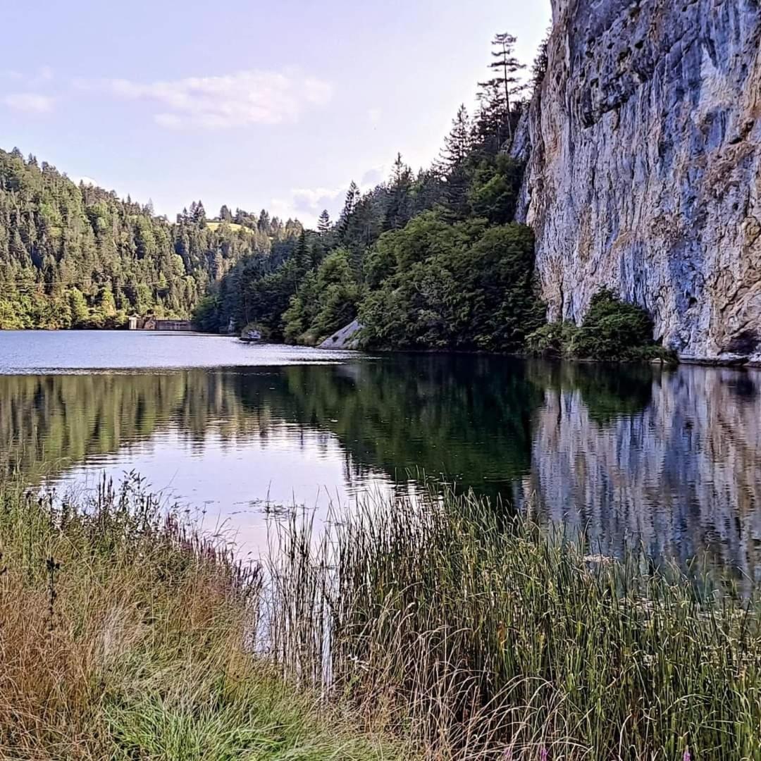 Villa Vikendica NEVEN Zaovine Esterno foto