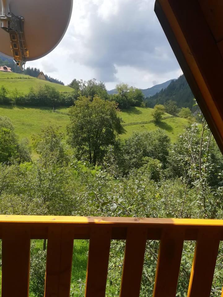 Villa Vikendica NEVEN Zaovine Esterno foto